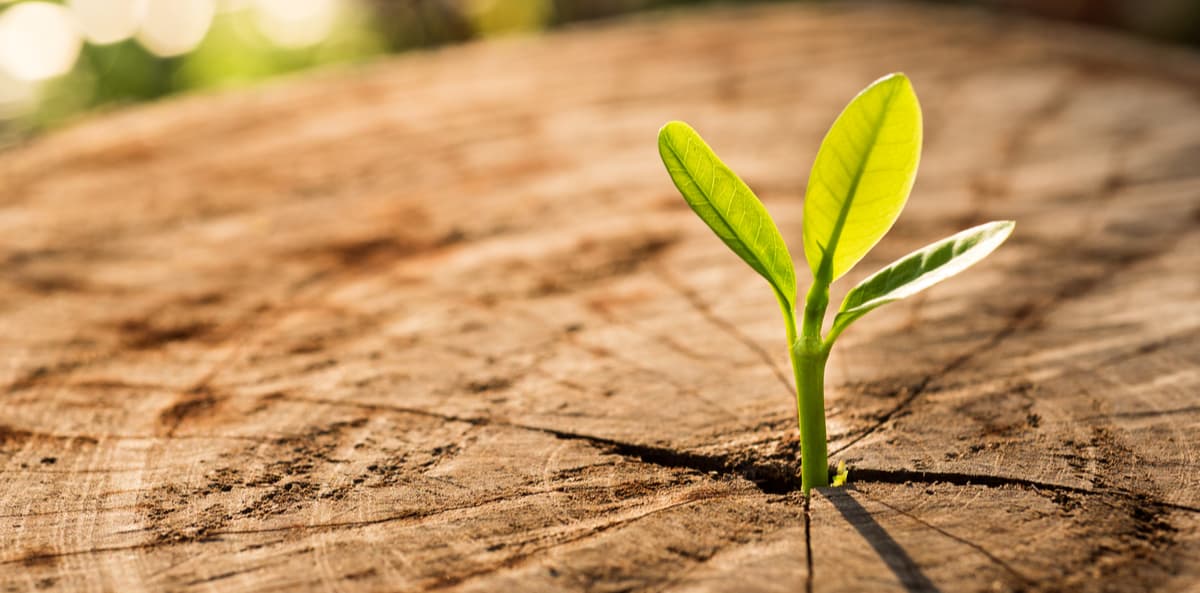 reglementation environnementale bâtiments neufs