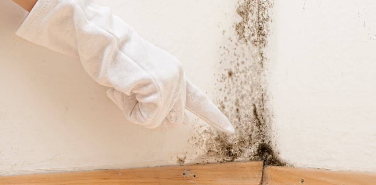 comment éviter l'humidité dans un appartement