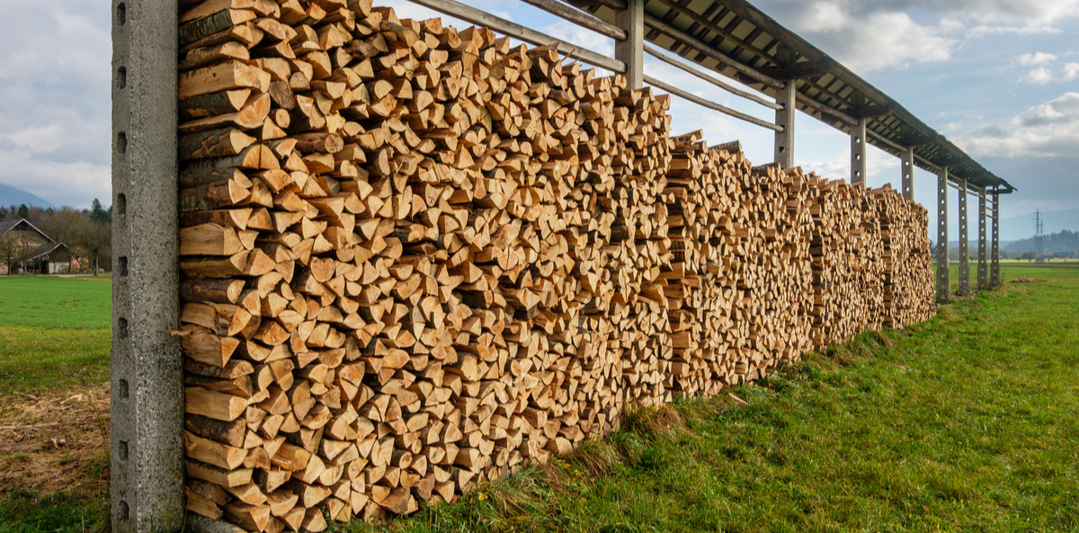 Filière bois nord emploi