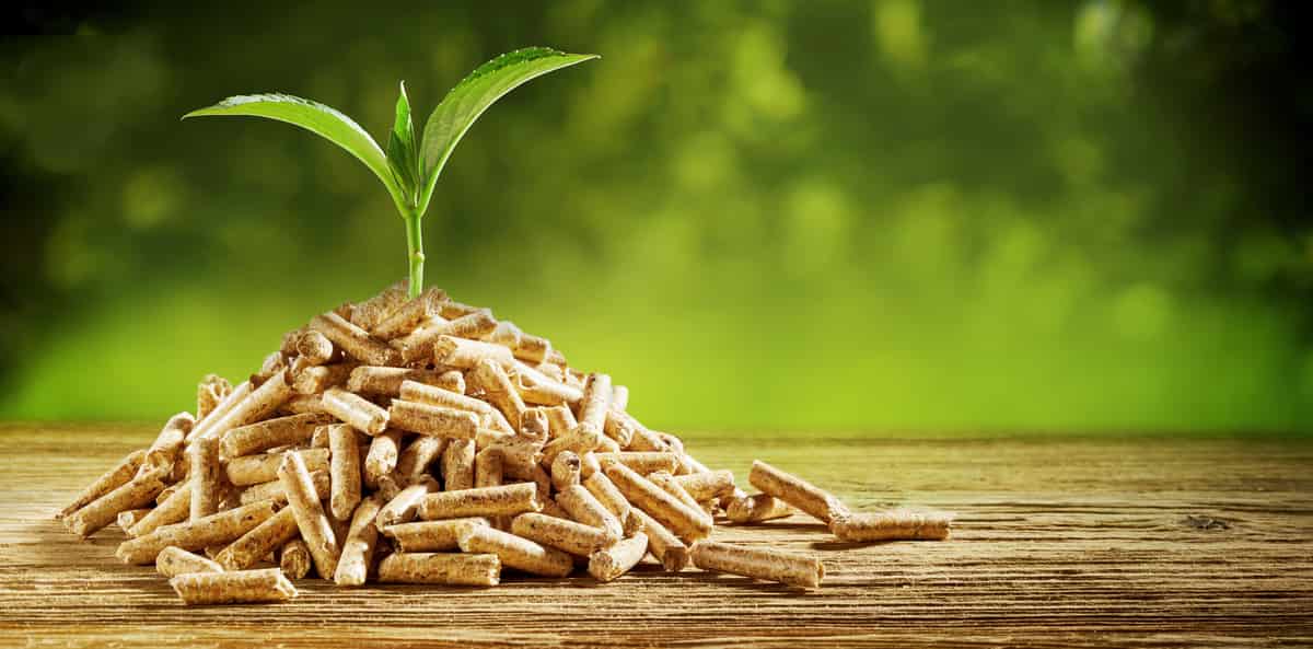 points essentiels installation poele a bois