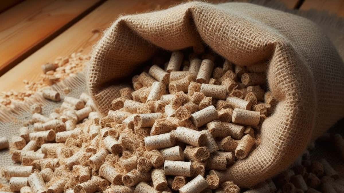 pourquoi choisir le chauffage aux granulés de bois ?