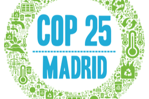 COP 25