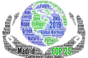 Quel bilan peut-on tirer de la COP 25 ?